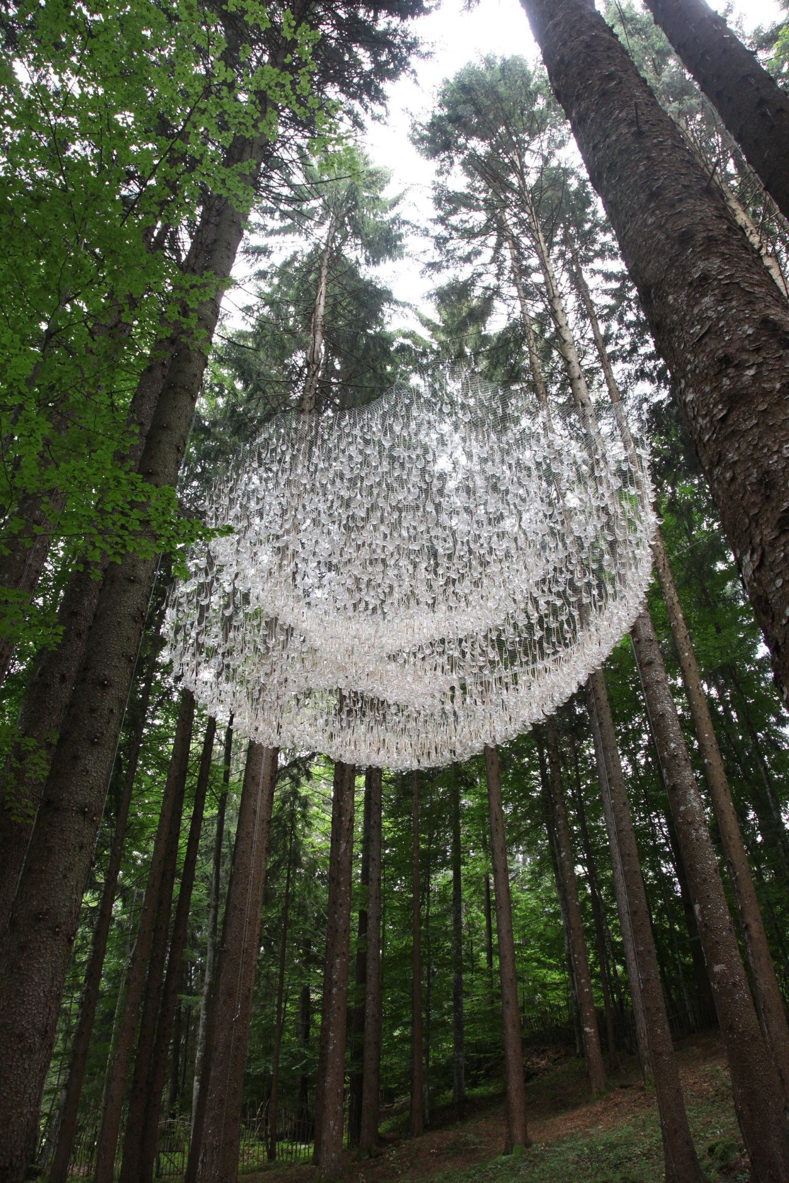 John Grade 7 Reservoir instalacion agua lluvia naturaleza bosque