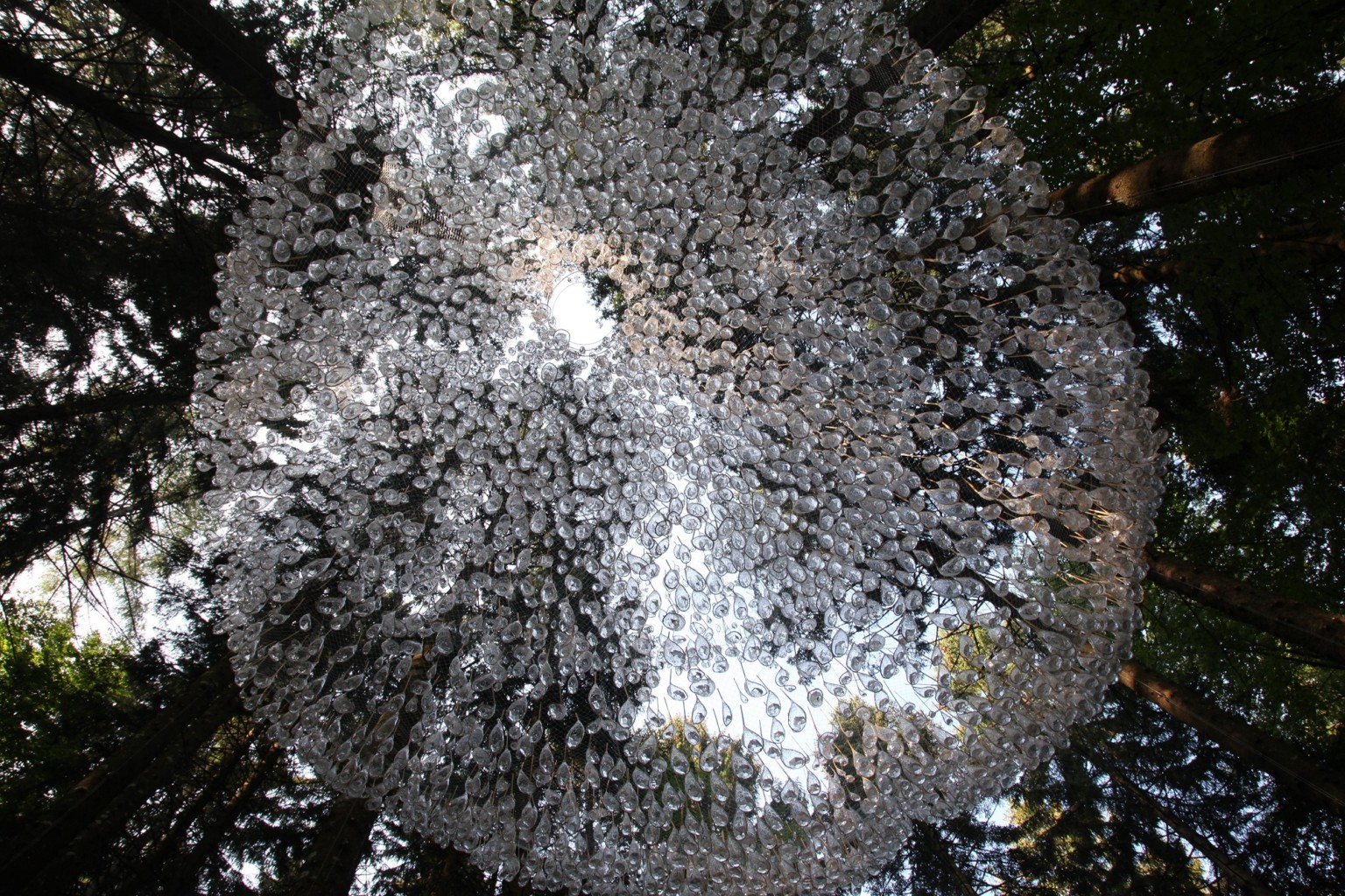 John Grade 8 Reservoir instalacion agua lluvia naturaleza bosque