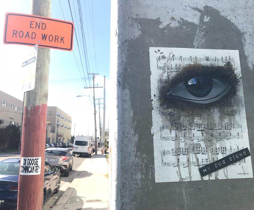 My Dog Sighs 24
