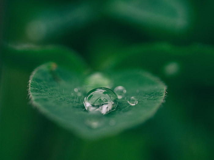 aaron burden 265916 unsplash