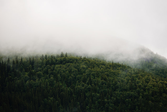 jon flobrant 348536 unsplash