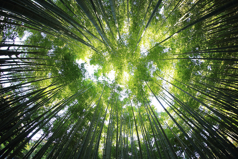 kazuend 30877 unsplash