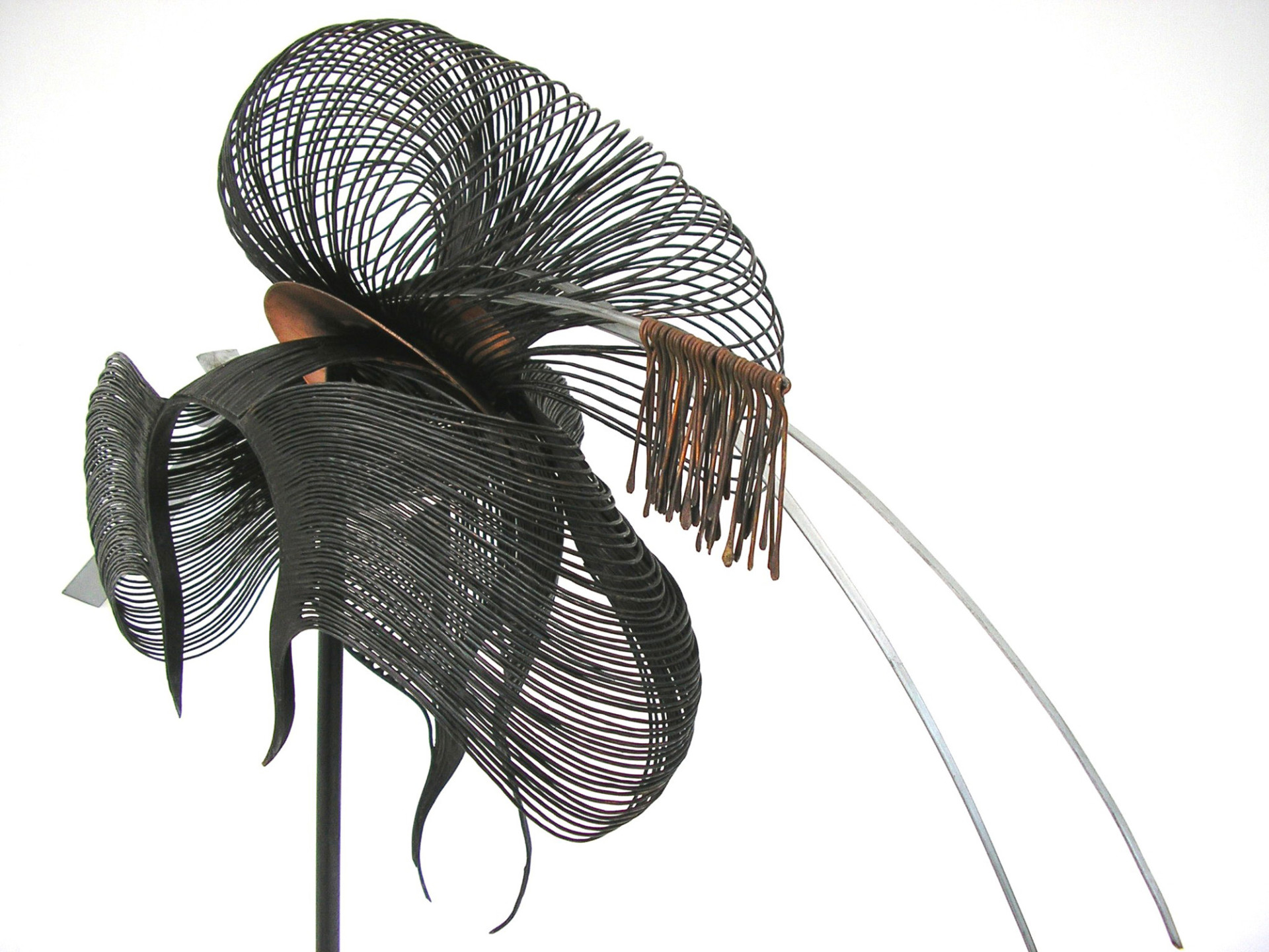 pelucas cobre 05