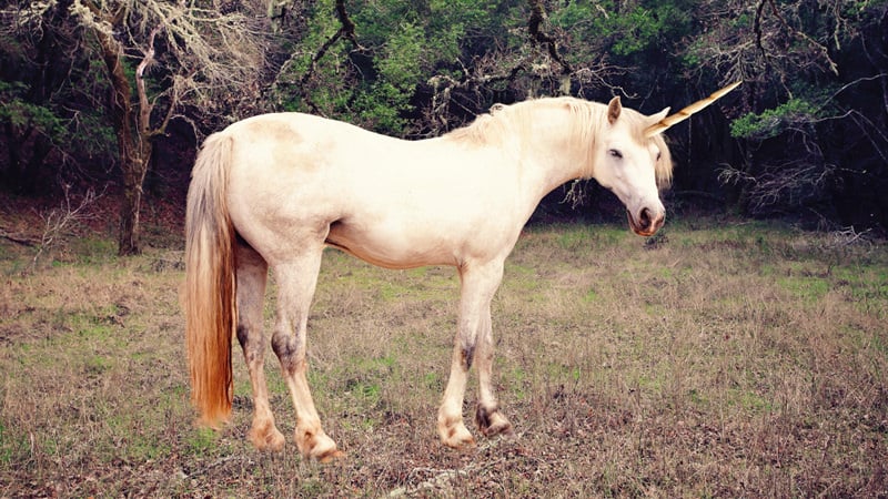 unicornio