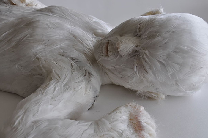 01 feather child