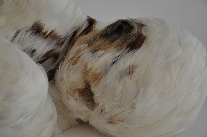07 feather child