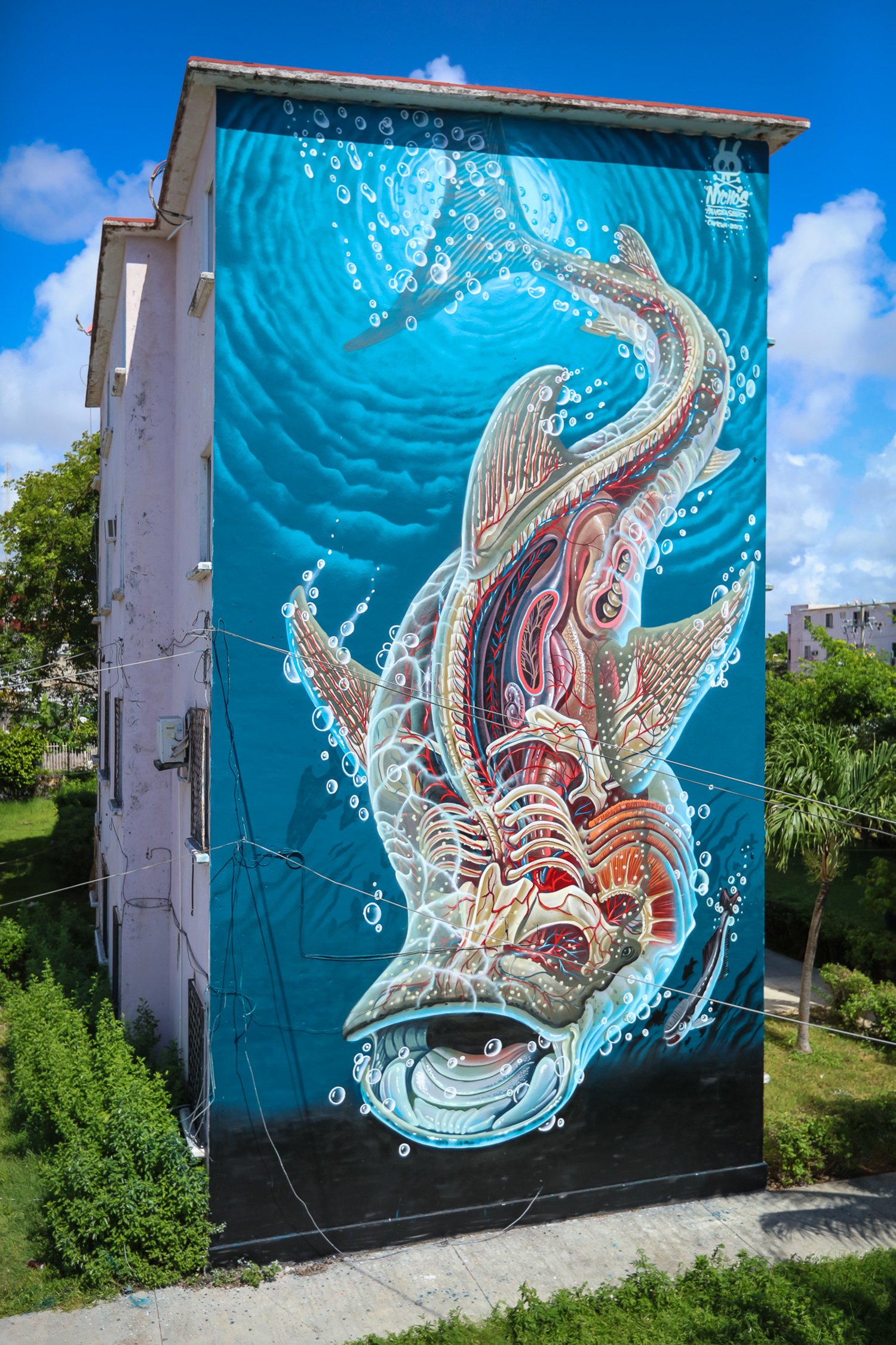 Fundacion PangeaSeed 1 mural arte urbano planeta oceano concienciacion Sea Walls