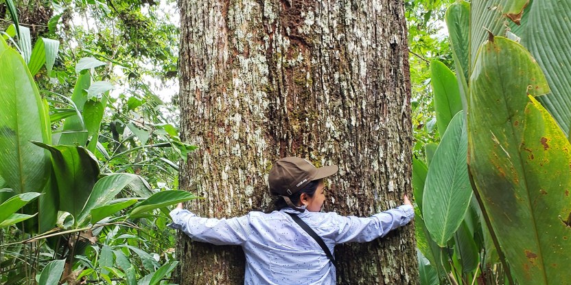 Gary Alejano 2 Filipinas Ley medioambiente ecologia planeta sociedad