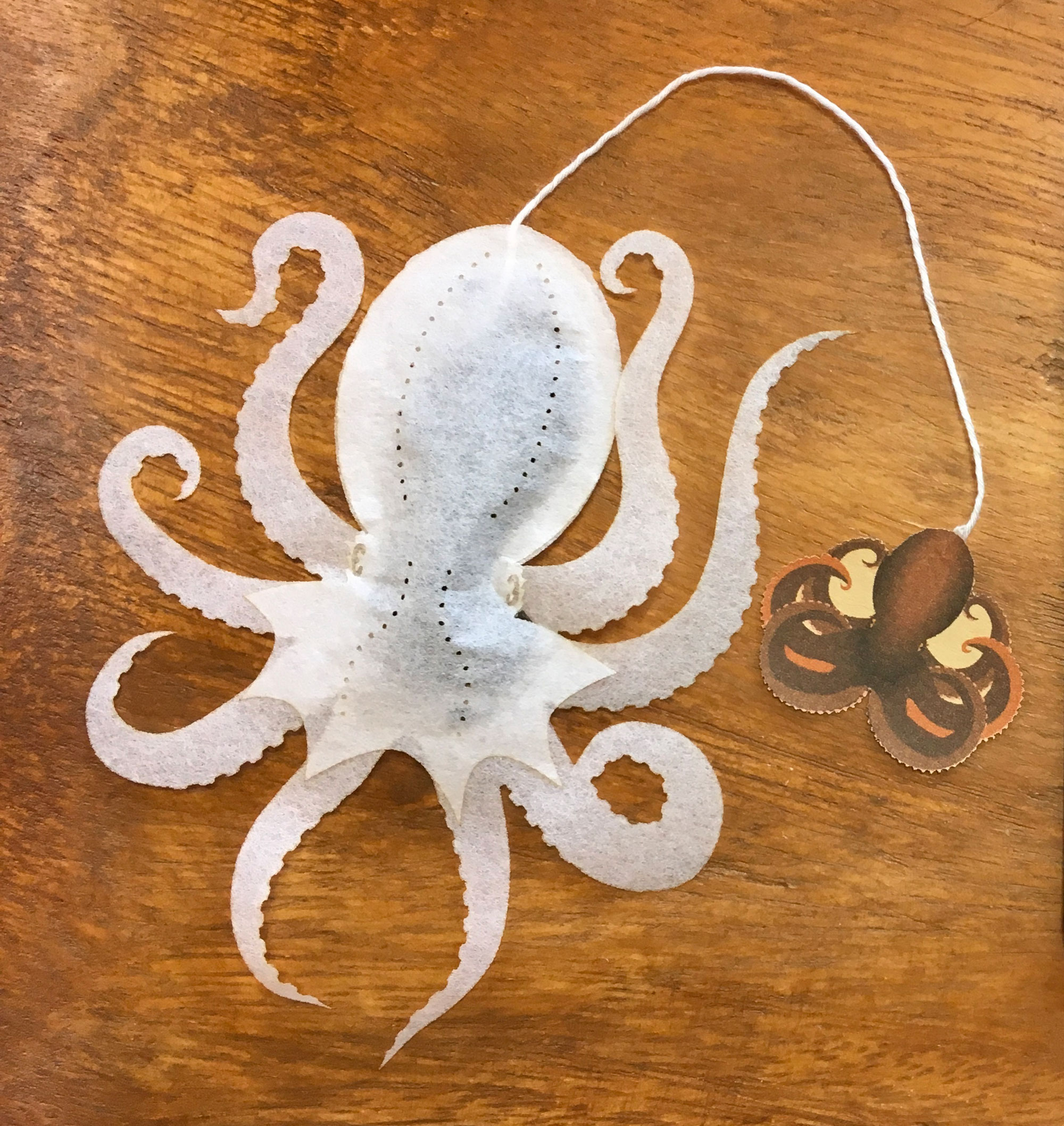 Ocean Tea Bag 1 diseno te estilo de vida animales