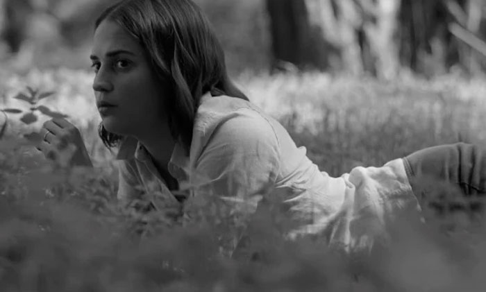 The National 2 I am easy to find Mike Mills musica cine cultura pop emocional Alicia Vikander