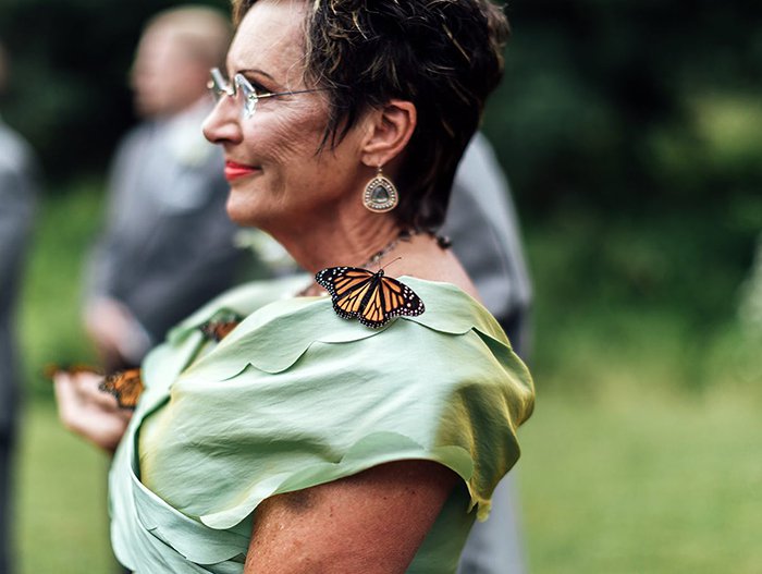 Liberan mariposas el día de su boda en honor a su hermana fallecida 8