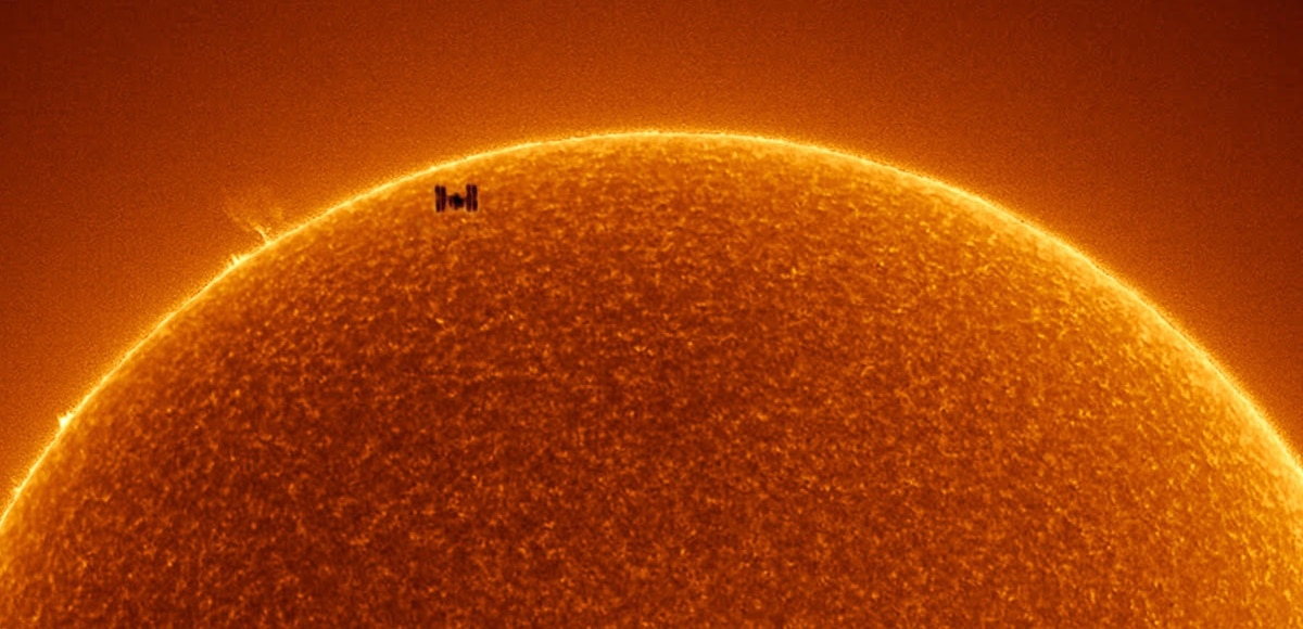 Rainee Colacurcio sol