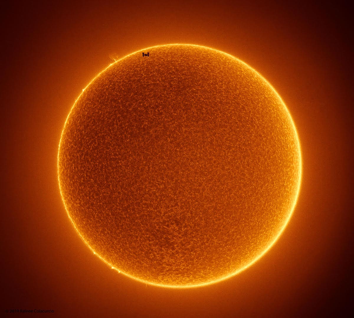 Rainee Colacurcio sol 2