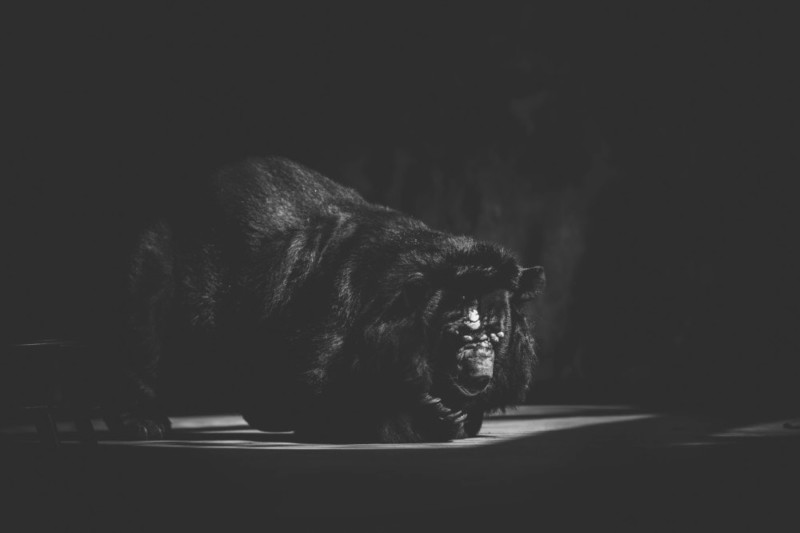 Shafiqul Islam 6 animales zoologico Banglades estilo de vida sociedad