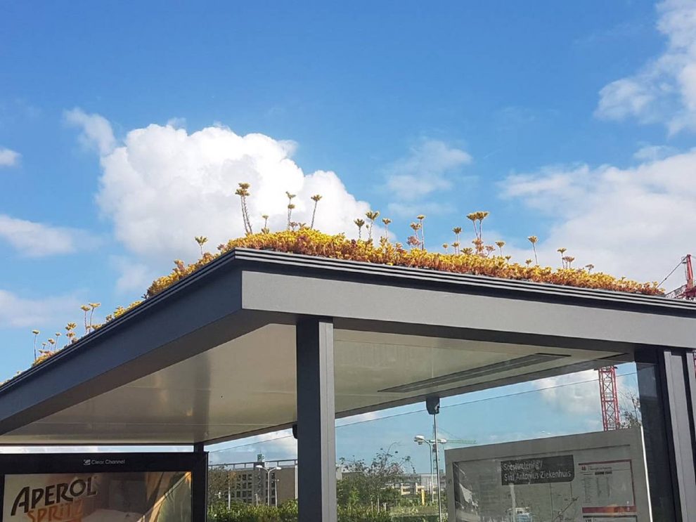 Utrecht paradas bus abejas