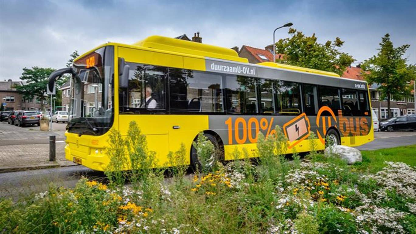 Utrecht paradas bus abejas 2