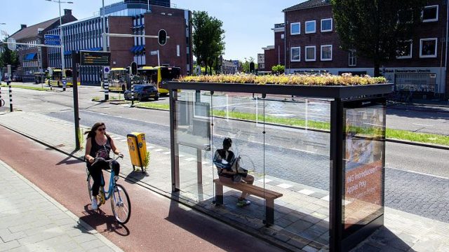 Utrecht paradas bus abejas 3