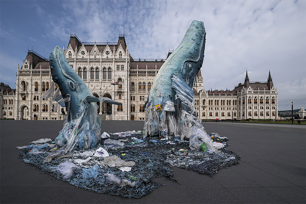 ballena plástico budapest