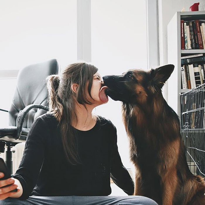 perro beso