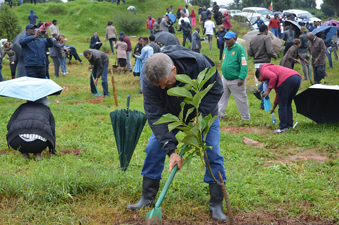 Etiopia 1 Record Guinnes arboles ecologia medio ambiente planeta