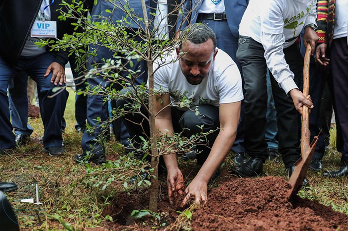 Etiopia 2 Record Guinnes arboles ecologia medio ambiente planeta