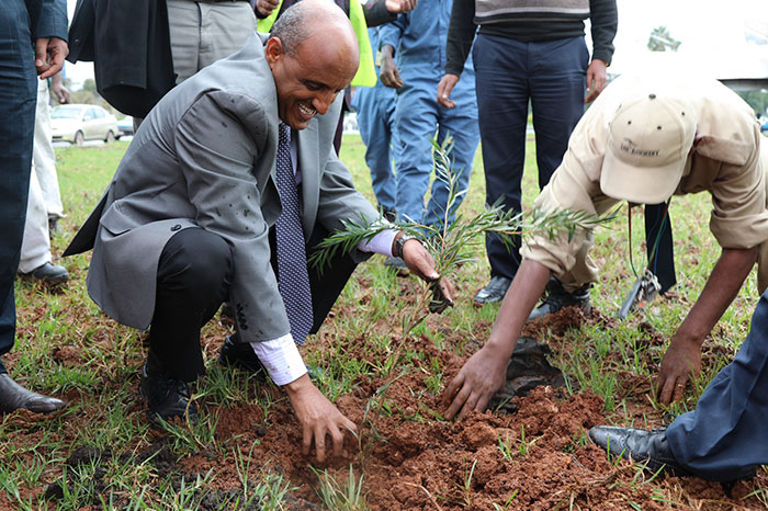 Etiopia 5 Record Guinnes arboles ecologia medio ambiente planeta