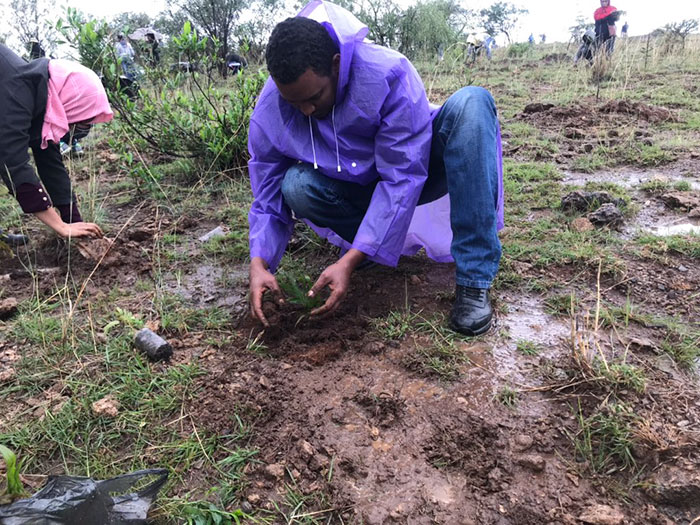 Etiopia 7 Record Guinnes arboles ecologia medio ambiente planeta