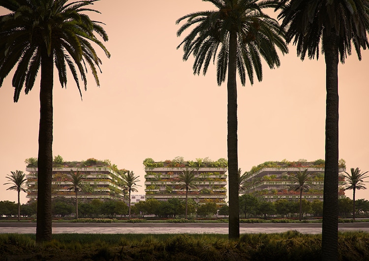 Stefano Boeri 4 jardin vertical arquitectura plantas El Cairo Greener Cairo botanica