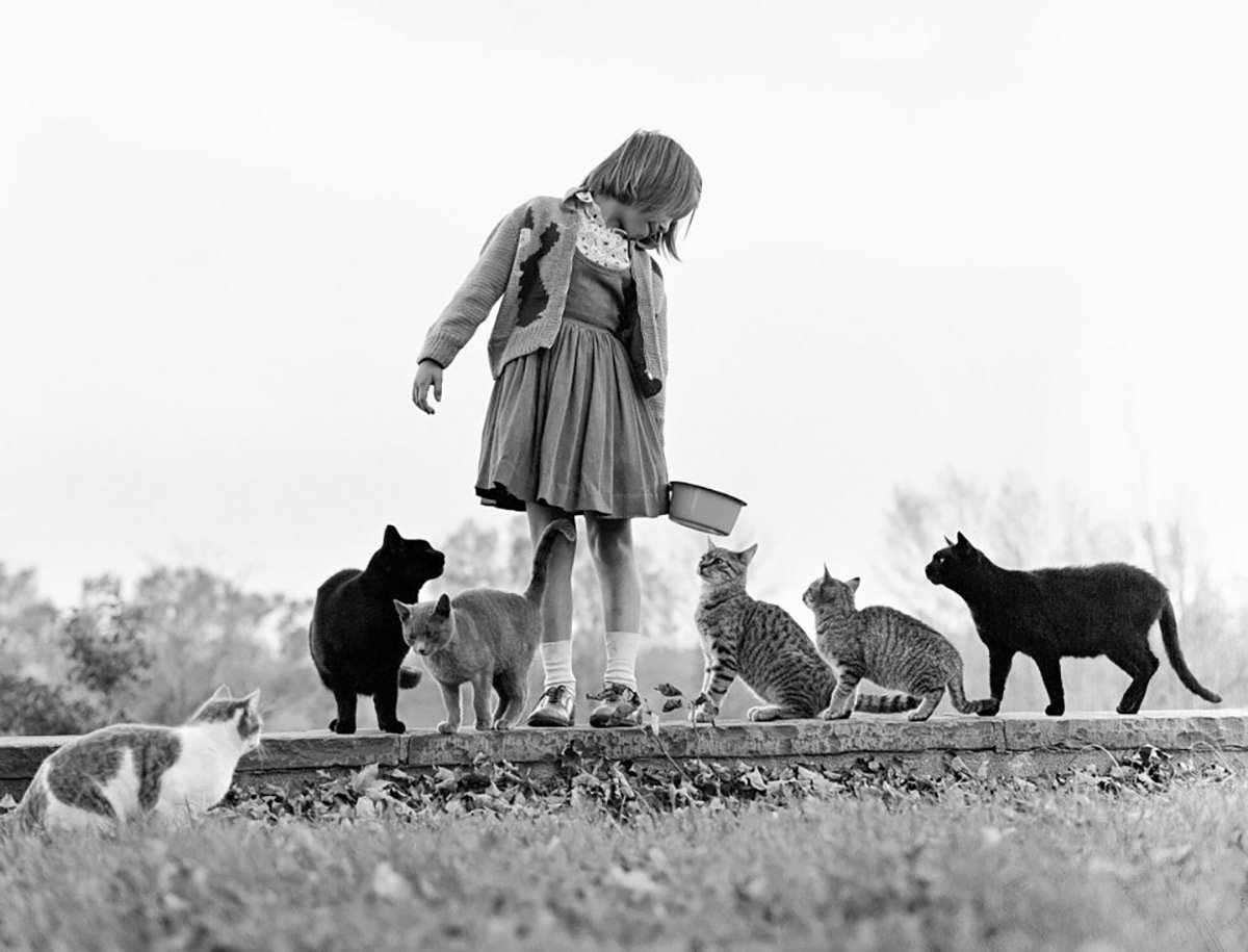 Walter Chandoha13