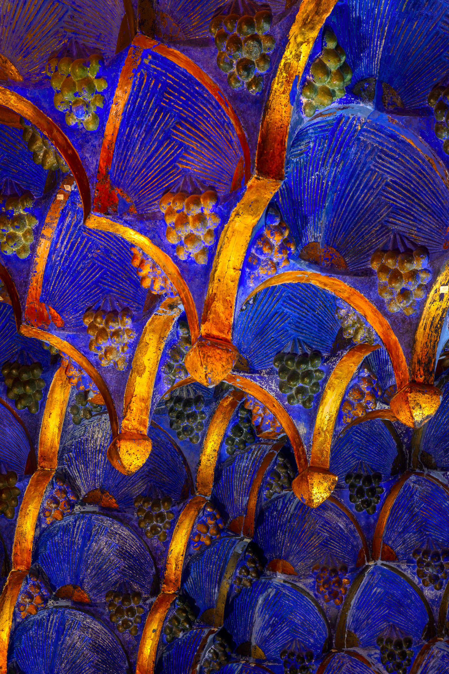 david cardelus6