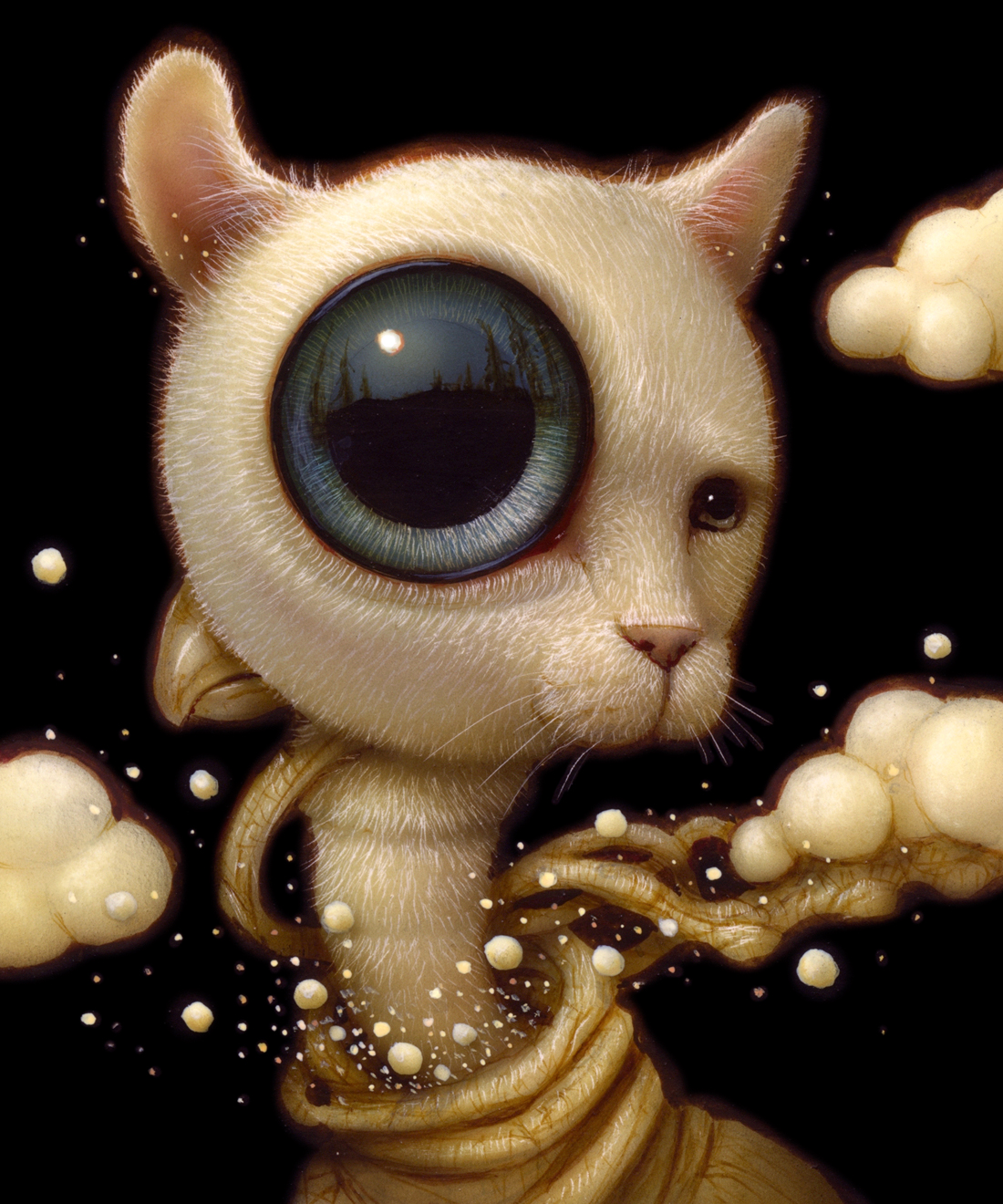 Naoto Hattori3