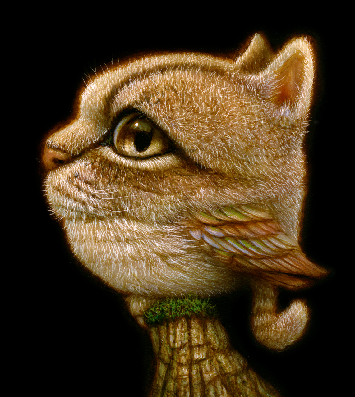 Naoto Hattori4