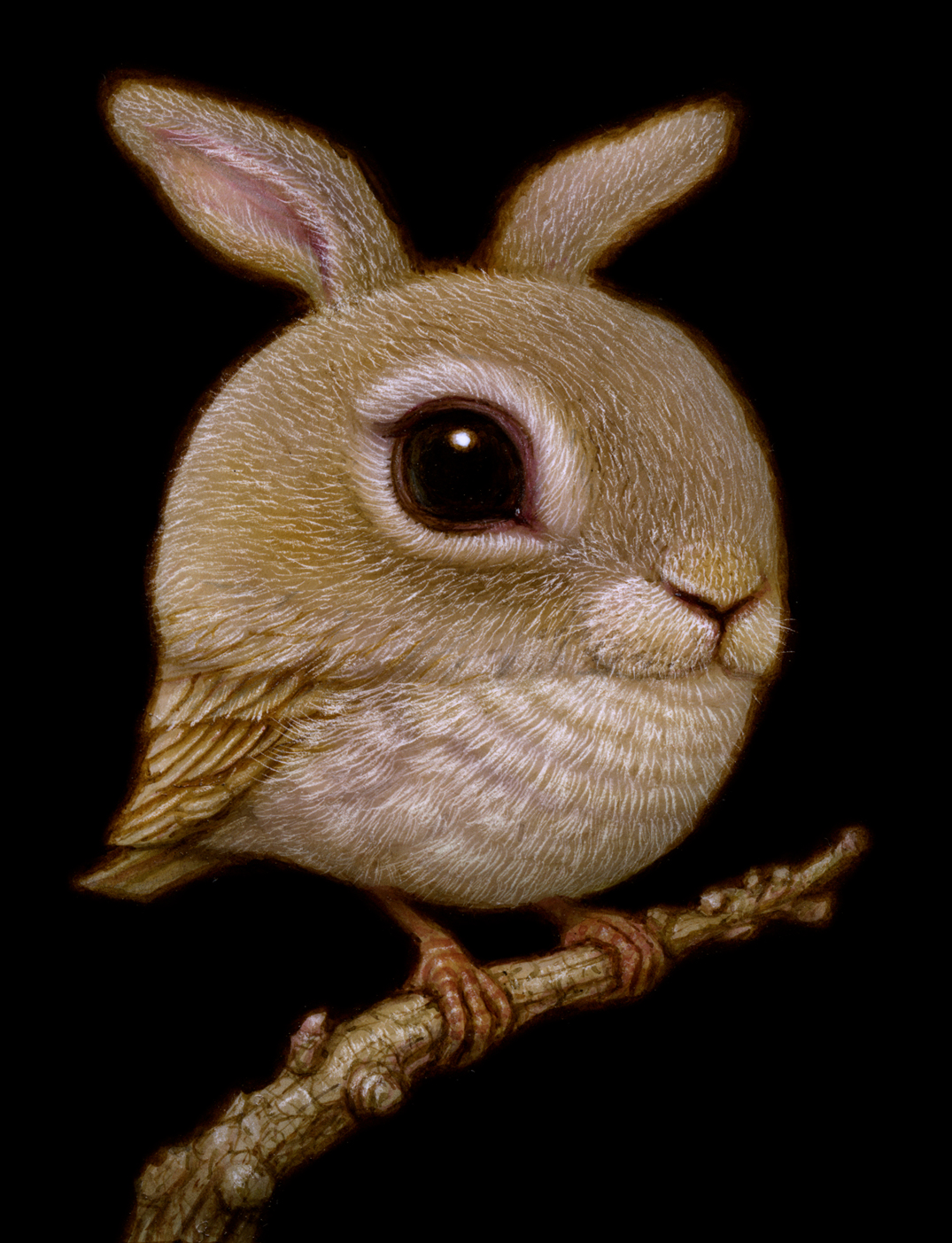 Naoto Hattori7