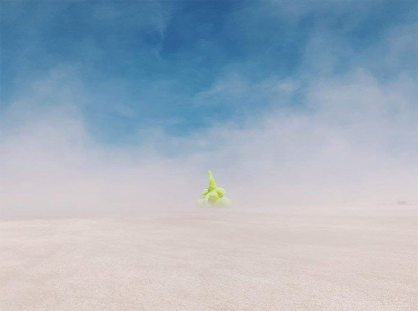 burning man 2019 metamorphose11