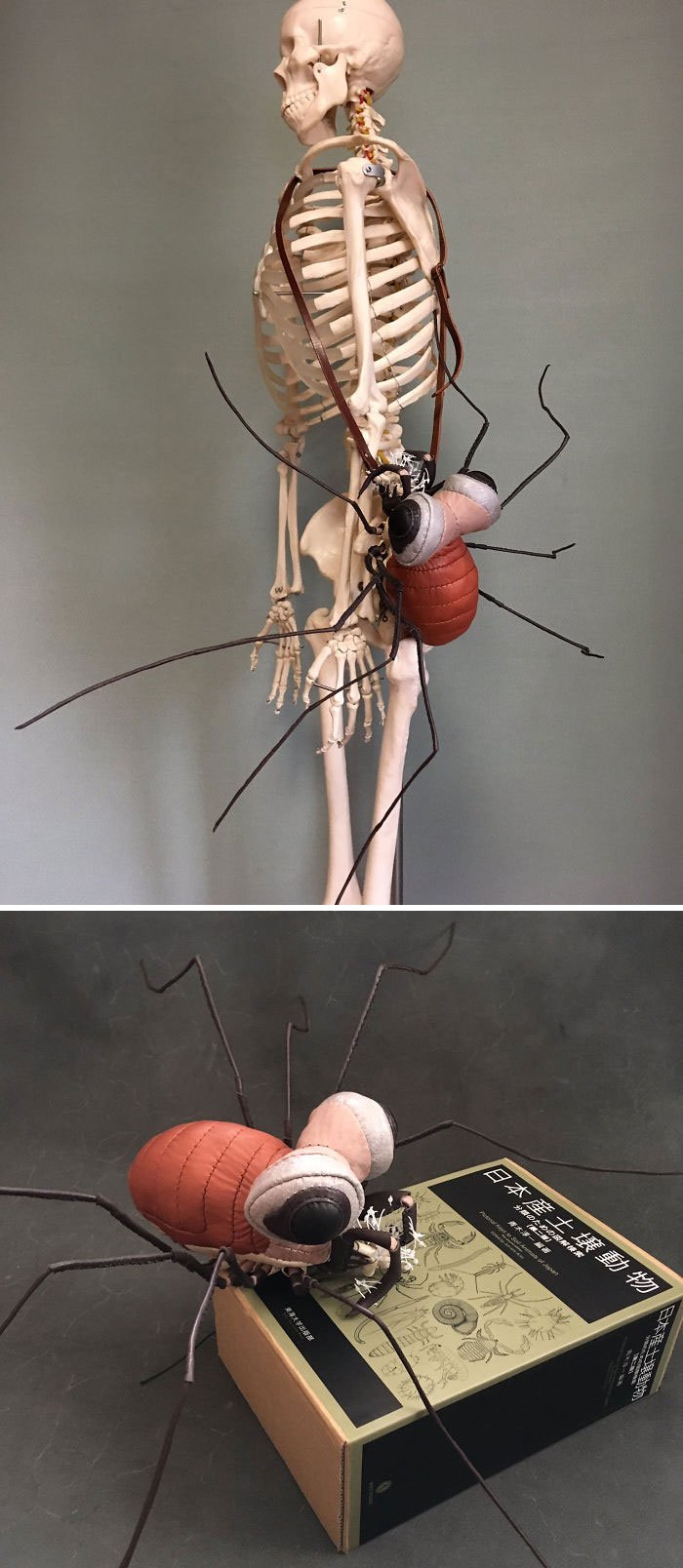 Amanojaku de Hesomagari 12 diseño insectos moda animales complementos