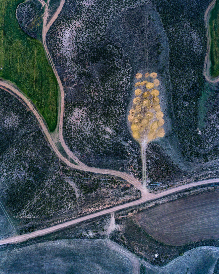 Fotografía de sequía campo español 11