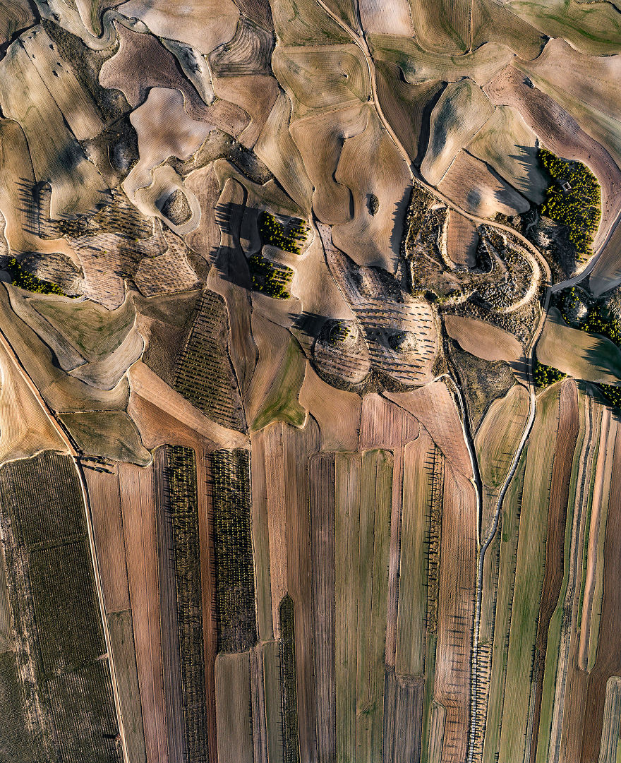 Fotografía de sequía campo español 14