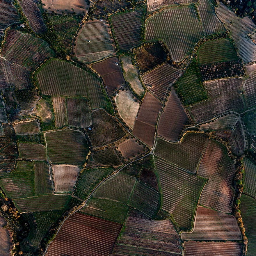 Fotografía de sequía campo español 15