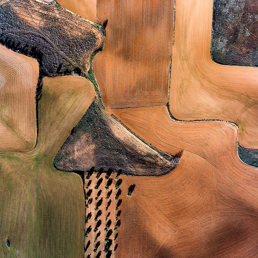 Fotografía de sequía campo español 2