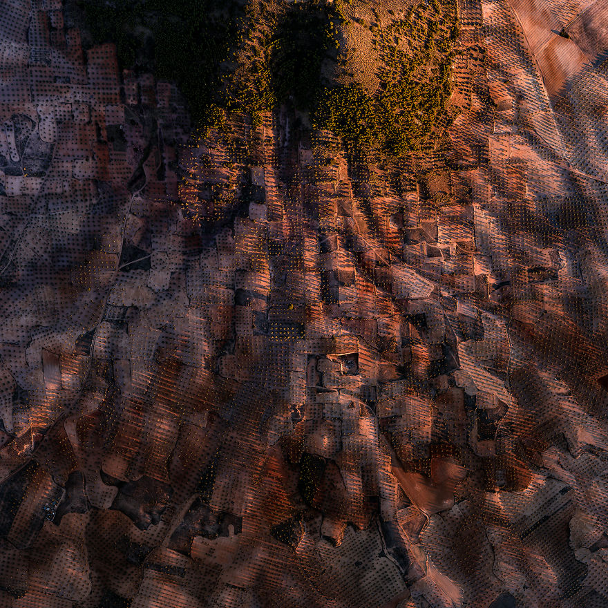 Fotografía de sequía campo español 4