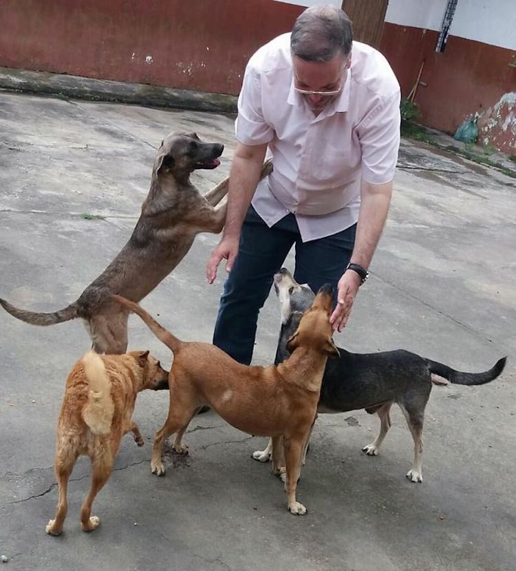 Una parroquia en Brasil acoge perros callejeros para conseguirles hogar 7