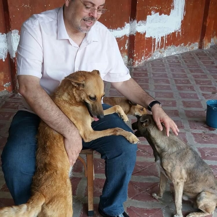 Una parroquia en Brasil acoge perros callejeros para conseguirles hogar 8