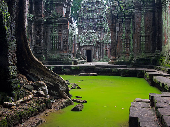 En el templo Angkor Wat de Camboya se prohíben los paseos en elefante 5
