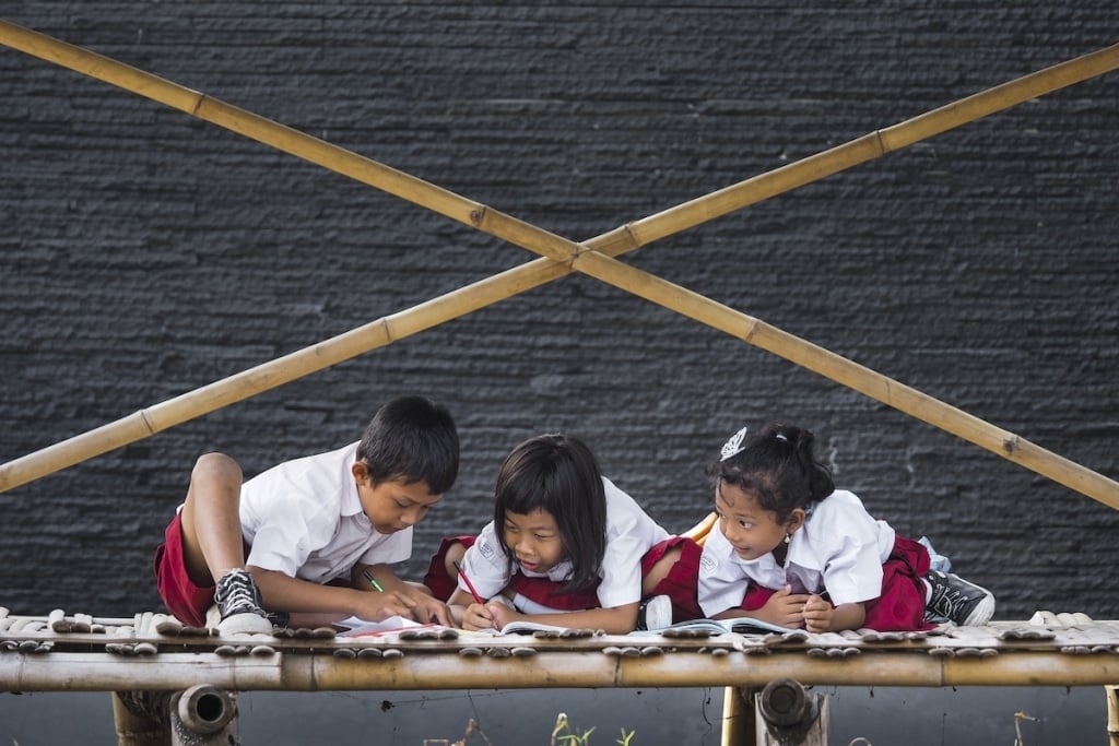 Fotografías ganadoras del Education Photo Contest 1
