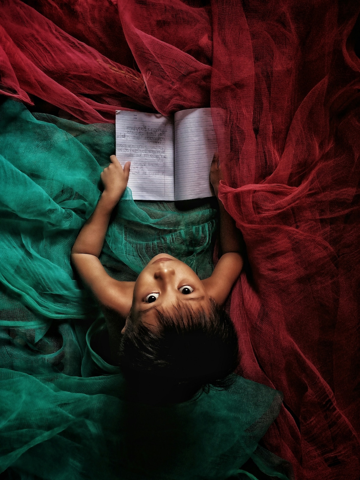 Fotografías ganadoras del Education Photo Contest 13