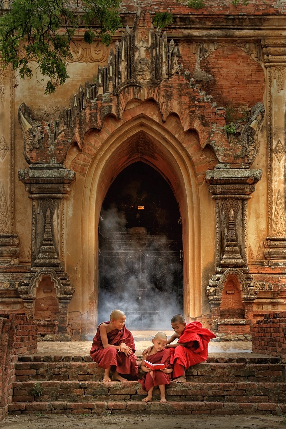 Fotografías ganadoras del Education Photo Contest 15