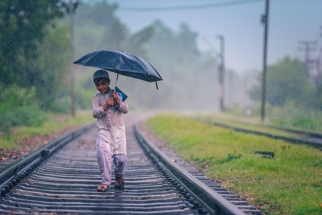 Fotografías ganadoras del Education Photo Contest 5