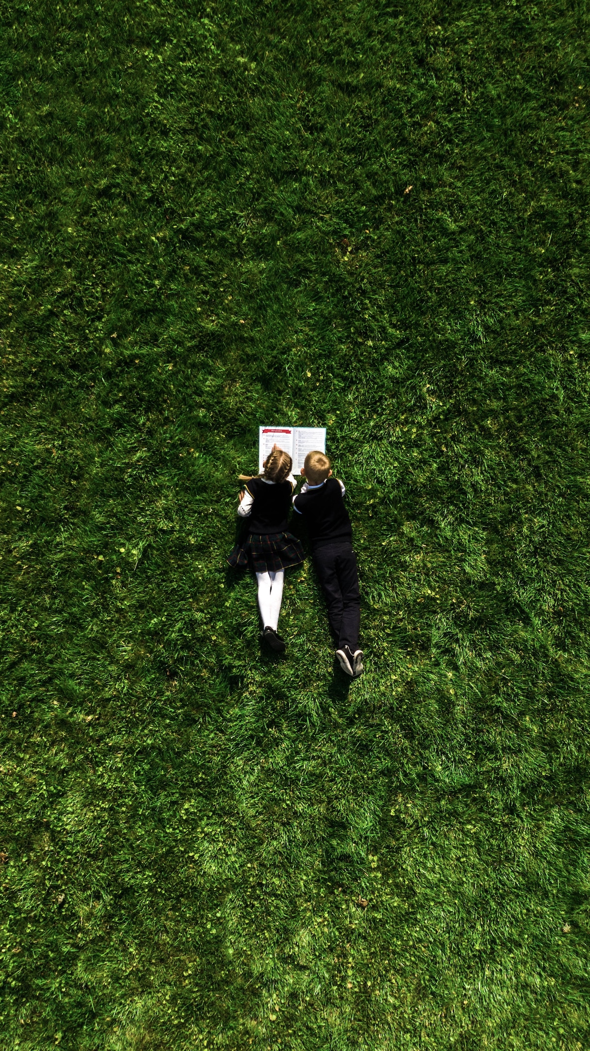 Fotografías ganadoras del Education Photo Contest 9