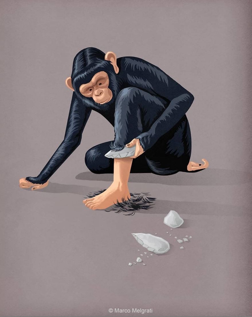 Ilustración Marco Melgrati13