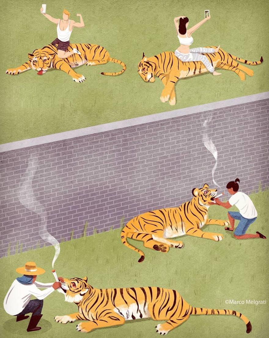 Ilustración Marco Melgrati25
